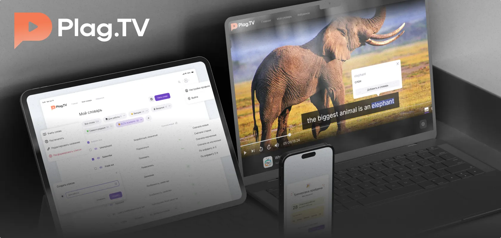 PlagTV